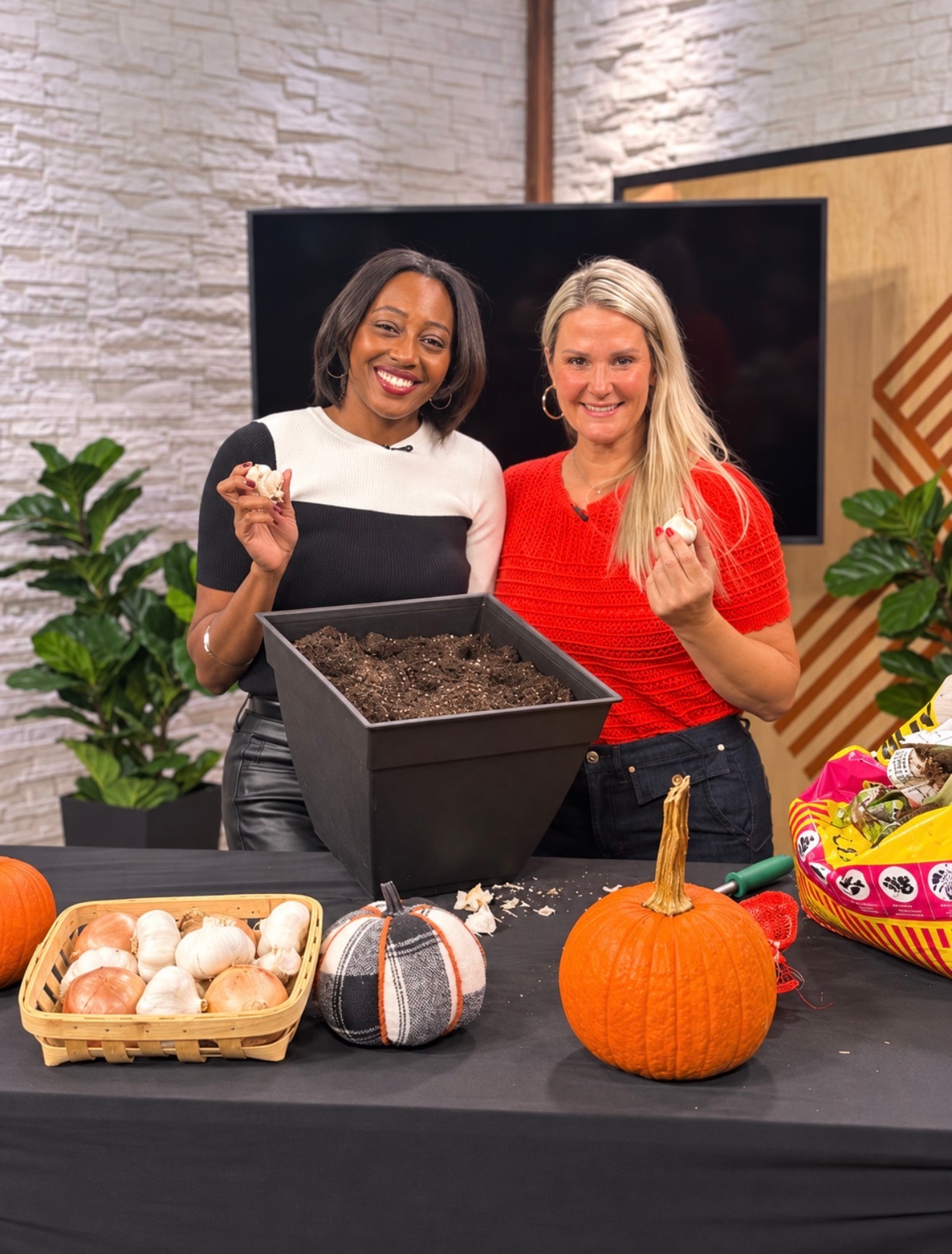 Corinne on CBS 17 as a gardening guest